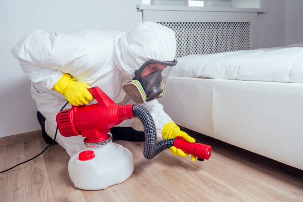 Best Local Pest Control Services  in Potterville, MI