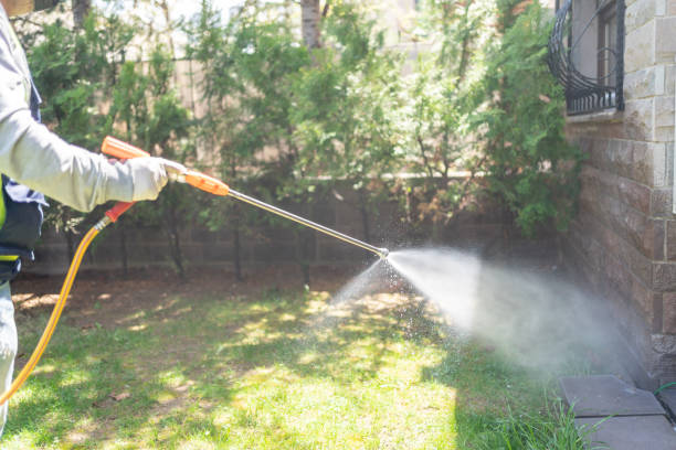 Wasp Removal Services in Potterville, MI