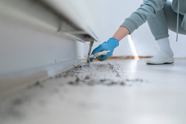 Professional Pest Control in Potterville, MI